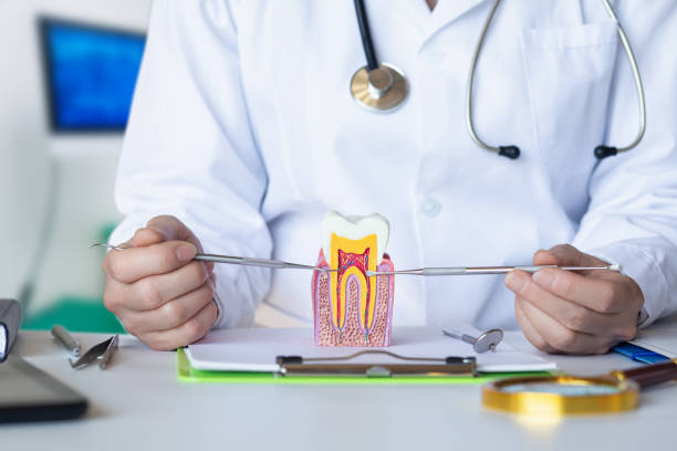 Best Emergency Treatment for Toothache in Johnson, AR